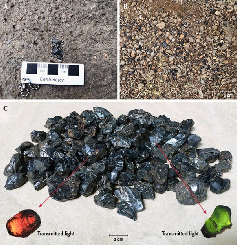 Figure 4. Augite is abundant in Dong Nai Province and easy to collect. A: Augite hosted by basalt. B: Augite buried in laterite soil. C: Samples obtained during the field trips, which appear black under reflected light before revealing an orangy brown or a green color when observed in transmitted light. Photos by Lam Vinh Phat.