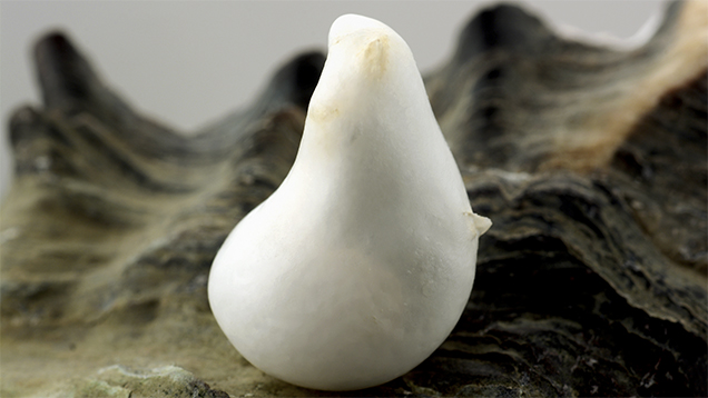 Non-nacreous pearl found in an edible oyster.