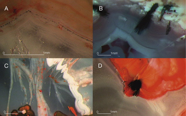 IMG-FA13-Dumansk 154394 636x358