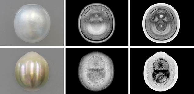 Macro images, RTX images, and μ-CT slices of cultured pearl