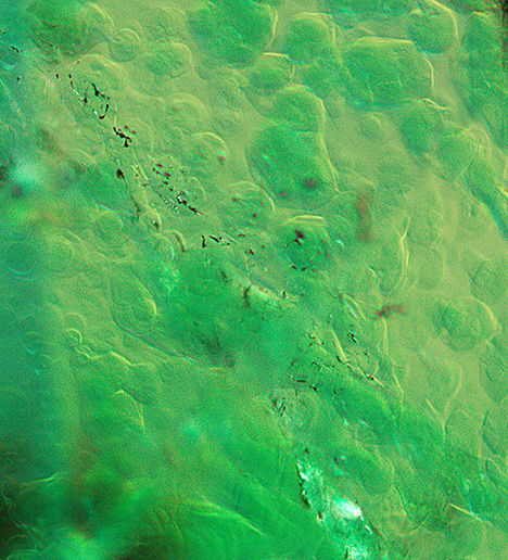 Gota de aceite structures are observed in one of the samples.