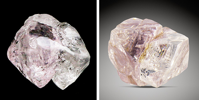 Rough diamond crystals exhibiting both pink and colorless sections.