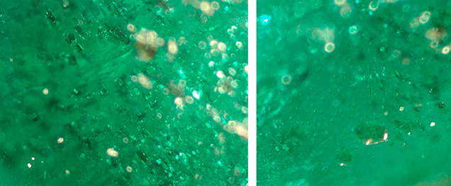 Figure 11. Flakes/sheets (possibly mica) and roundish multiphase inclusions in the pendant’s smaller emerald. Photomicrographs by Aurélien Delaunay; fields of view approximately 0.8 mm (left) and 1.5 mm (right).
