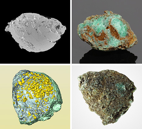 Two fossilized shells show a clear shell structure and scattered pyrite crystals, respectively. Two fossilized shells show a clear shell structure and scattered pyrite crystals, respectively.