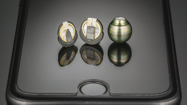 <i>Pinctada Margaritifera</i> bead cultured pearls, cut in half (left) and intact (right).