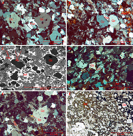 A thin section of dalmatian stone under magnification