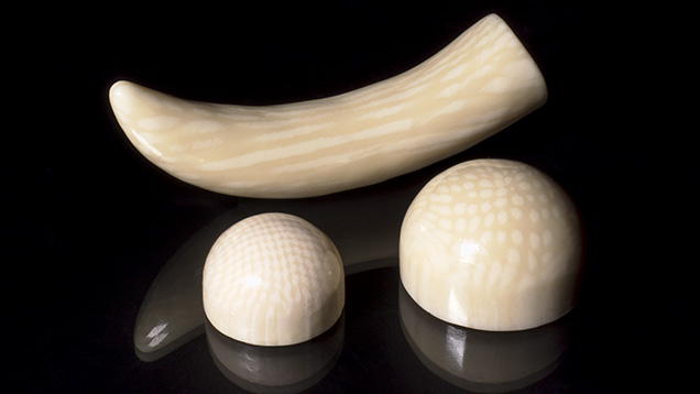 Ivory imitations carved from two materials for this study.