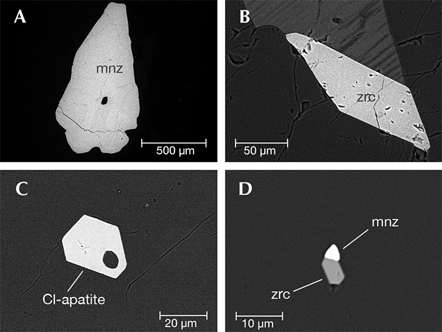 SEM backscattered images of mineral inclusions in grandidierite