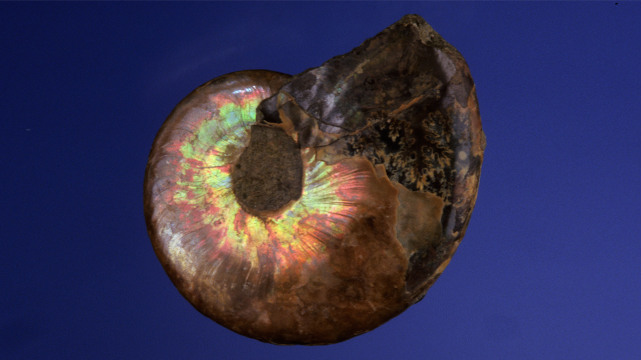 VRL23128_1280x720.jpg