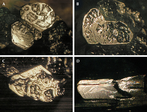 Figure 13. A–C: The stepped micro-texture of emeralds with incompletely developed basal planes shows stacked layers parallel to the <em>c</em>-axis. D: Growth steps on the <em>m</em> prism face of one of the crystals in figure 12B. Shown here are sample 12 (A and D) and sample 13 (B and C). Photos by K. Schmetzer; fields of view 11.5 mm (A), 7.6 mm (B and C), and 4.6 mm (D).