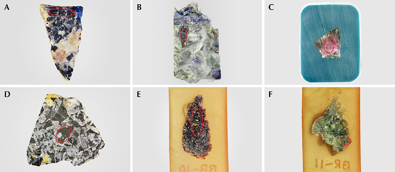 Optical scans of sample chips used for chemical analysis.