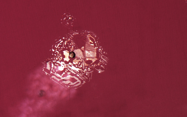 Partially healed decrepitation halo