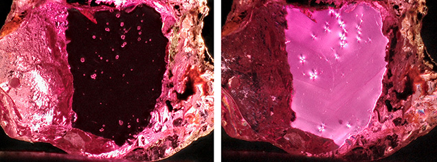 Figure 1. Colorless crystals with high relief (left) in a ruby mined near Caraia in the Montepuez region. Placing the ruby between crossed polarizers (right) revealed a stress halo caused by low-dose radiation emitted by the zircon inclusion. Photomicrographs by Wim Vertriest; field of view 3.6 mm. Figure 1. Colorless crystals with high relief (left) in a ruby mined near Caraia in the Montepuez region. Placing the ruby between crossed polarizers (right) revealed a stress halo caused by low-dose radiation emitted by the zircon inclusion. Photomicrographs by Wim Vertriest; field of view 3.6 mm.