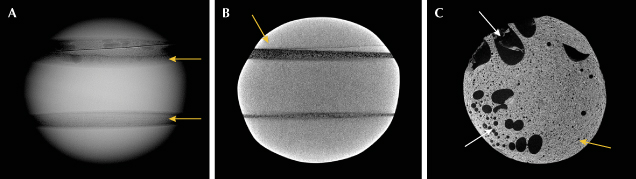 Figure 2. A: RTX image showing the three shell fragments fused by a bonding agent (indicated by arrows). B: μ-CT imaging displaying a very tight structure with internal banding (arrow). C: μ-CT imaging showing trapped gas bubbles (white arrows) within the bonding agent (yellow arrow).