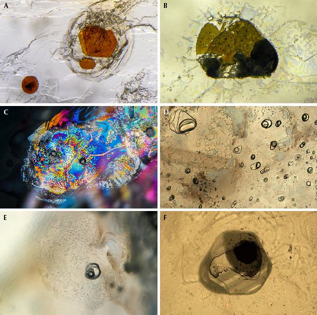 Microscopic images showcasing various mineral samples and structures, featuring colors and textures.