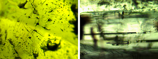 Two-phase inclusions and growth tubes in Luc Yen tourmaline
