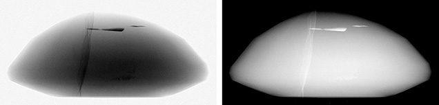 Two side-by-side images of a smooth, dome-shaped object, one in grayscale and the other in inverted colors.