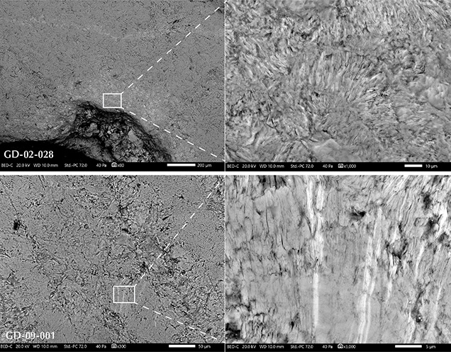 SEM-BSE images of the structure of sudoite
