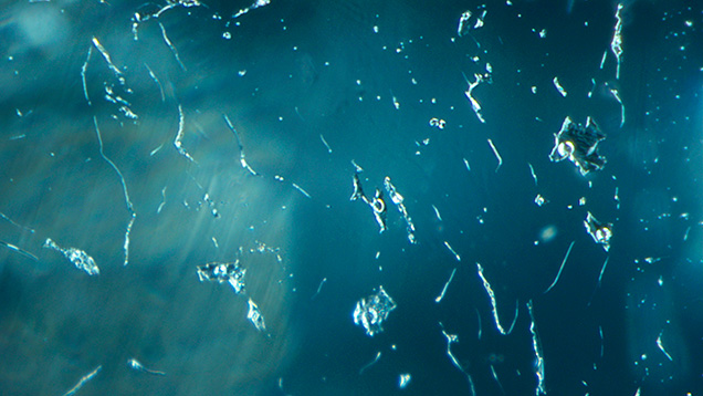 Figure 1. Immiscible two-phase fluid inclusions in a 0.48 ct Paraíba tourmaline. All circular phases were identified as gaseous CO<sub>2</sub> by confocal Raman spectroscopy. Photomicrograph by Kazuko Saruwatari; field of view 1.10 mm.