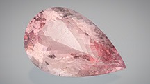 Figure 1. The 236.27 ct pear-shaped untreated morganite from old Madagascar stock was designed by Prakash Chand Vijay, who also oversaw the cutting. Photo by Robert Weldon. Courtesy of Blue Star Gems.