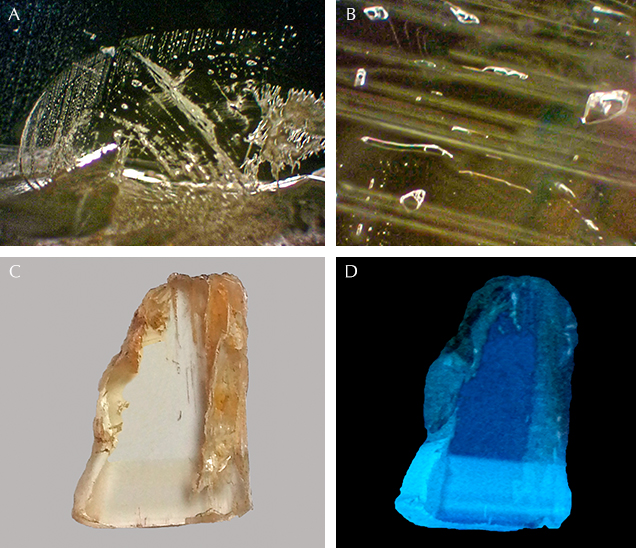 Internal features of Vietnamese danburite.