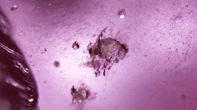 Muscovite inclusions