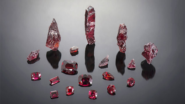 Figure 1. Faceted garnets (1.81–16.00 ct) along with rough fragments (largest piece is 12 g) from a new deposit in the Lao Cai province of northern Vietnam. Photo by Nuttapol Kitdee; courtesy of Precious Le Gems.