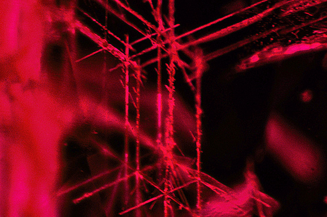 Rose channels in a 0.5 ct ruby. Photomicrograph by Aamir Sayed; field of view 0.75 mm. Rose channels in a 0.5 ct ruby. Photomicrograph by Aamir Sayed; field of view 0.75 mm.