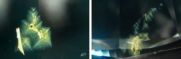 Figure 1. Viewed through the pavilion, trails of starburst-patterned clouds were observed in patches near the girdle in a 2.50 ct diamond; in the center of each cloud were more intensely colored particles appearing to form a cross pattern. Photomicrographs by Forozan Zandi; fields of view 1.26 mm (left) and 2.34 mm (right).
