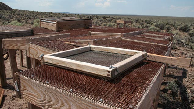 サンストーンビュートは、かつては料金を払って入坑することができた。 DaveとTammyの事業が発展するにつれ、本格的な採掘に集中するため、料金をとっての一般入坑は縮小させることにした。 - Duncan Pay