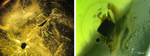 Crystal inclusions in peridot from Vietnam’s Central Highlands