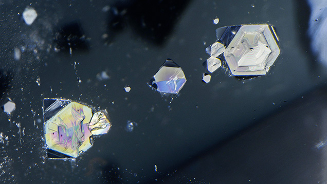 Figure 2. When viewed from the opposite side of the quartz host, the same gersdorffite inclusions display as hexagons. Photomicrograph by Nathan Renfro; field of view 8.11 mm.