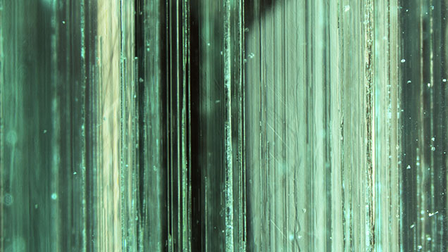The effect of the pavilion facet edges on the dense tube inclusions in this Colombian emerald creates a scene reminiscent of a bamboo forest. Photomicrograph by Taku Okada; field of view 4.10 mm.