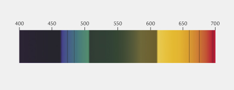 Diagnostic ruby spectrum in the handheld spectroscope.