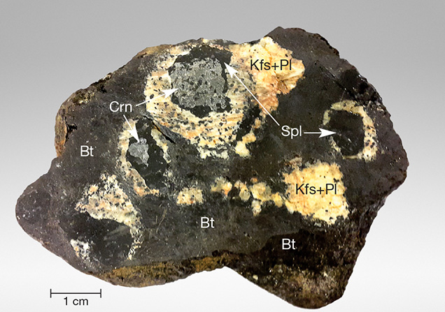 Gray corundum coated by a dark spinel corona