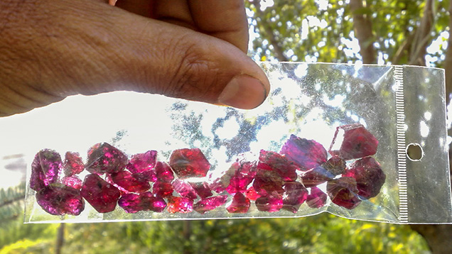 Rough ruby crystals from Snezhnoe, Tajikistan