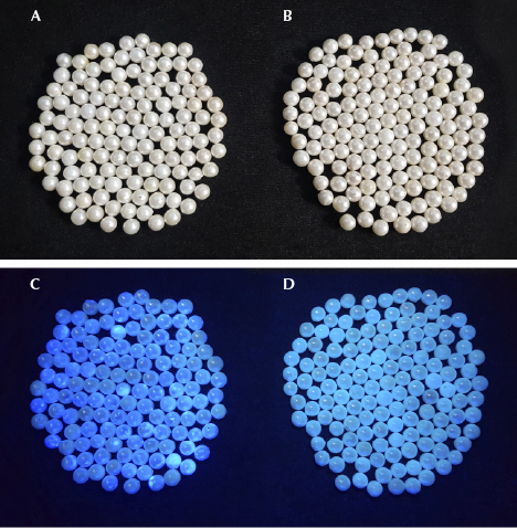 Fluorescence reaction of optically brightened akoya cultured pearls
