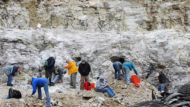Pegmatite body at the Havey Quarry in Maine.