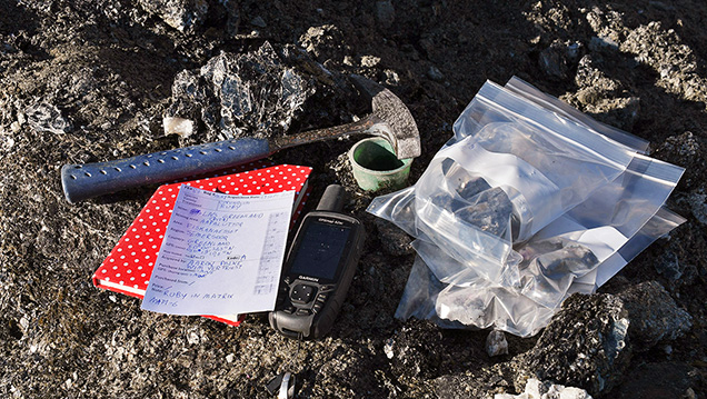 Greenland ruby samples in matrix