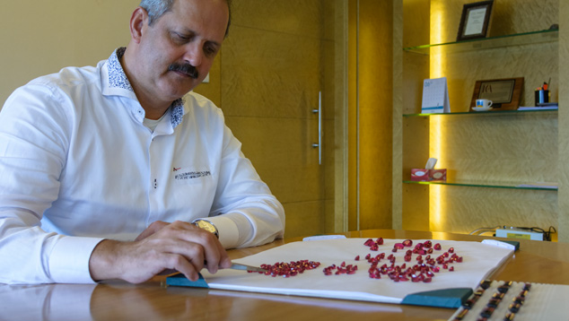 ビジネスモデル