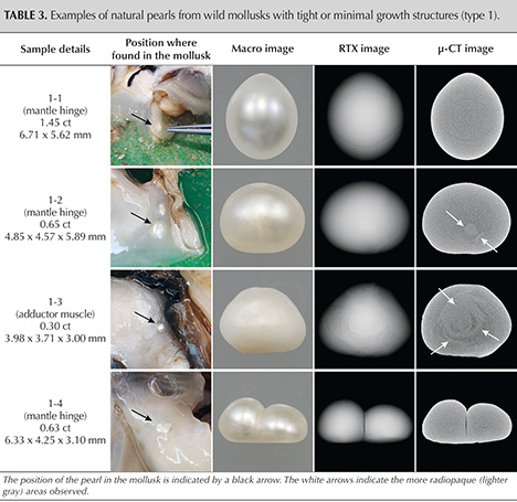 graphical user interface