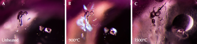 Figure 21. A: Sample 37 shows dark crystals of primary rutile, along with clouds of exsolved rutile silk. B: Small fissures have begun to form around some of the primary rutile crystals. C: The fissures have expanded and begun to heal, though the primary rutile crystals appear unaltered and the rutile silk needles in the background are intact. Photomicrographs by E. Billie Hughes; field of view 2 mm.