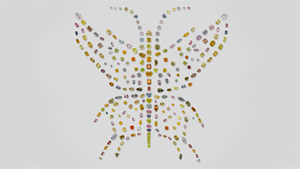 About Fancy Color Diamond