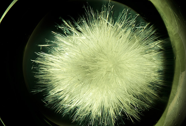 A yellowish green glass with numerous wollastonite needles similar in appearance to the horsetail inclusions in demantoids.