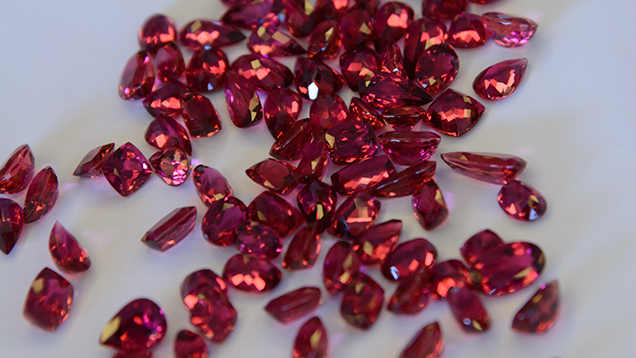 ビジネスモデル