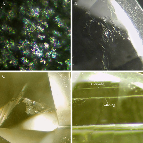 Figure 5. Inclusions in anorthoclase from southeast Vietnam. A: A myriad of incomplete thin, flat fluid inclusions reflecting interference colors (sample AF9). B: Worm-like fluid inclusions (sample AF7). C: Colorless healed fractures along the cleavage (sample AF5). D: Cleavage planes accompanied by albite-law twinning, identified using a polariscope (sample AF4). Photomicrographs by Le Ngoc Nang; fields of view 1.8 mm (A) and 2.5 mm (B–D).