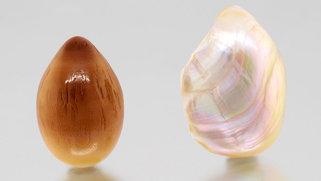 Large natural pearls from Spondylus and Trochoidea species mollusks.