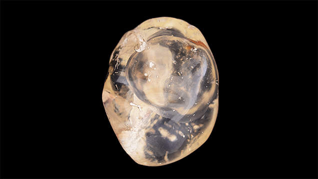 Polished freeform opal with a three-phase fluid inclusion.