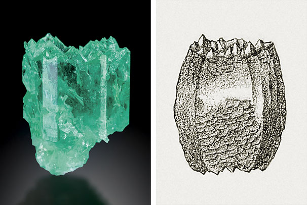 Figure A-3. Left: A heavily etched Colombian emerald crystal from Muzo measuring 27 mm in length. The basal pinacoid is completely dissolved, leading to numerous pointed hillocks; the growth sectors related to the <em>a</em> prism faces are optically reflective. Photo by Jeff Scovil. Right: Etched beryl crystal from Pont de Barost, Haute-Vienne, France, showing a completely dissolved basal face with numerous pointed hillocks. From Lacroix (1896).