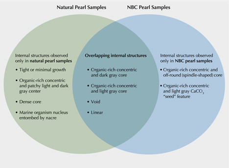 Three main categories of internal structures in cultured pearls (radioimages)
